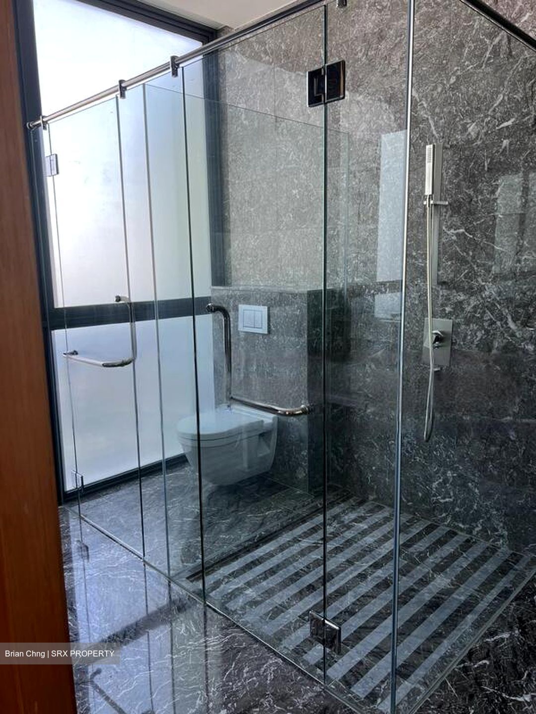 Lucida (D11), Apartment #477599921